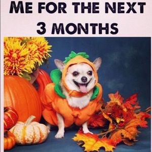 Meet your Posher, Krystle